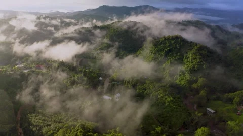 Aerial drone view of low-lying morning clouds rolling over lush green hills 動画素材 345592529