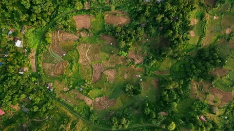 Aerial drone view of lush green Asian tropical forest with terrace farming Stock Footage 274411341