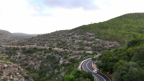 Aerial drone view of a lush green forest Stock Footage 296589265