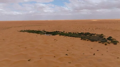 Aerial drone view of a lush green oasis and lake surrounded by vast Sahara Stock Footage 335443877