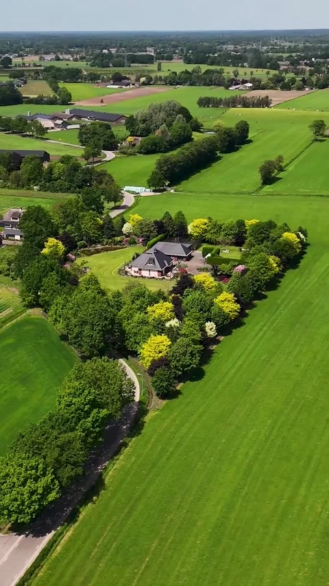 Aerial drone view of a lush green european countryside landscape Vidéo 336496383