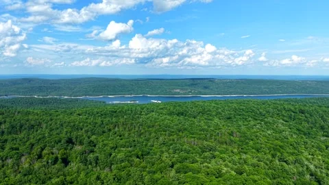 Aerial Drone View of Lush Green Forest and Distant Lake on a Sunny Summer Day Stock Footage 340120040