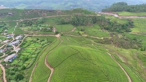 Aerial Drone View of Lush Tea Plantation Hills in Munnar Kerala India Stockbeeldmateriaal 332692403
