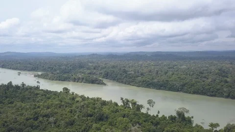 Aerial drone view of lush trees and Jamamaxim river in the Amazon rainforest. Stock Footage 129471143