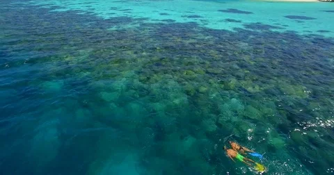 Aerial drone view of a man and woman couple snorkeling over a coral reef of a tr Stock Footage