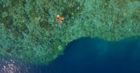 Aerial drone view of a man and woman couple snorkeling over the coral reef of a Stock Footage