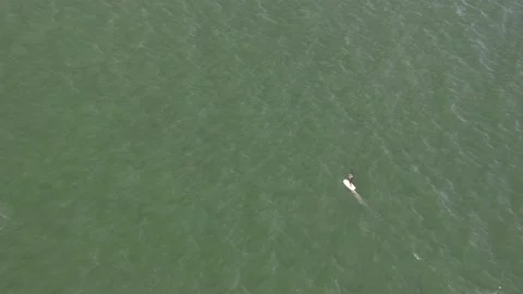 Aerial drone view of man riding an electrofoil electric surfboard Stock Footage 233221447