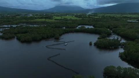 Aerial drone view of mangrove forest and traditional fish pens along coastline Stock Footage 337669579
