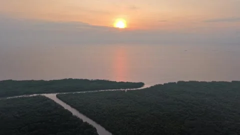 Aerial drone view of mangrove forest and river at sunset 库存影片 337983607