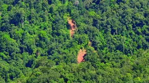 Aerial drone view of a massive landslide. Stock Footage 320040624