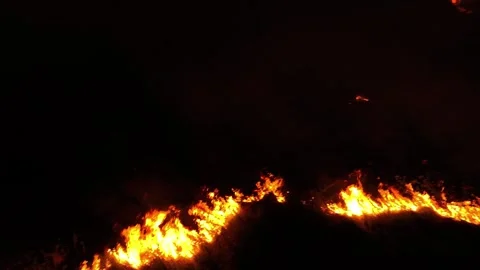 Aerial drone view of a massive wildfire at night. Video stock 333620294