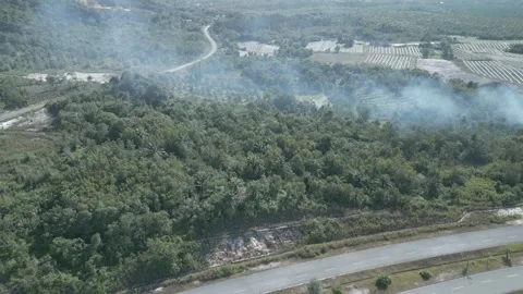 Aerial Drone View At Matang Fac Highway Sarawak. Stock Footage 320604882