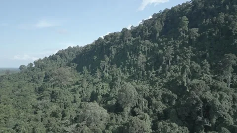 Aerial Drone View At Matang Fac Highway Sarawak. Stock Footage 320605261