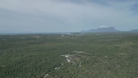 Aerial Drone View At Matang Fac Highway Sarawak. Stock Footage 320605311