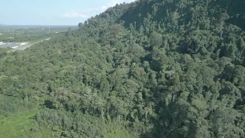 Aerial Drone View At Matang Fac Highway Sarawak. Stock Footage 320605648