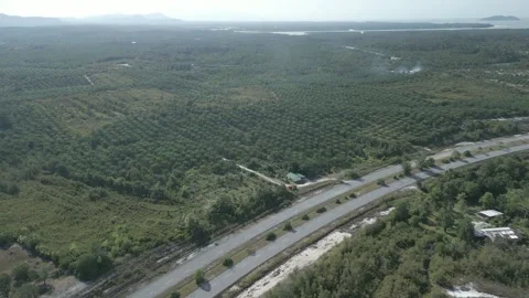 Aerial Drone View At Matang Fac Highway Sarawak. Stock Footage 320606401