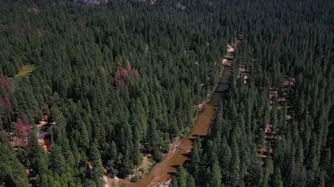 Aerial Drone View of Merced River Flowing Through Conifer Forest in Yosemite Stock Footage 319076661