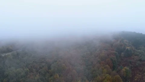 Aerial drone view of mist going above tree tops in the fall. Autumn forest with Vídeo Stock 119310613