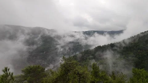 Aerial Drone View of Misty Forest and Low Clouds | Cinematic Nature Footage Stock Footage 340084551