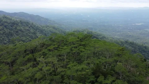 Aerial drone view of misty mountains and tropical jungle in Mindanao Philipp Stock Footage 345427281