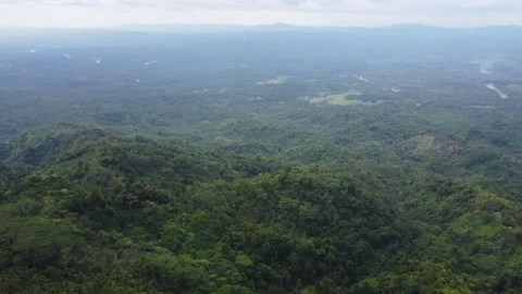 Aerial drone view of misty mountains and tropical jungle in Mindanao Philipp Stock Footage 345427318