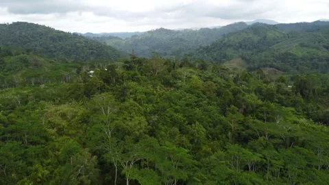 Aerial drone view of misty mountains and tropical jungle in Mindanao Philipp Stock Footage 345427786
