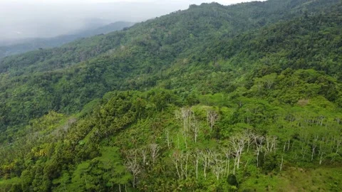 Aerial drone view of misty mountains and tropical jungle in Mindanao Philipp Stock Footage 345428016