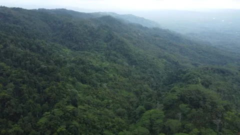 Aerial drone view of misty mountains and tropical jungle in Mindanao Philipp Vídeo Stock 345430331
