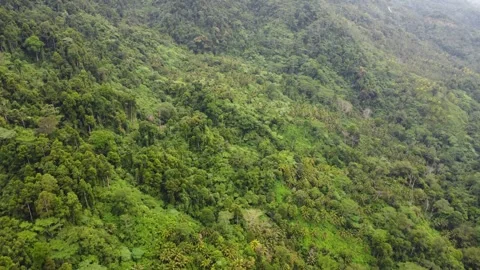Aerial drone view of misty mountains and tropical jungle in Mindanao Philipp Stock Footage 345430612