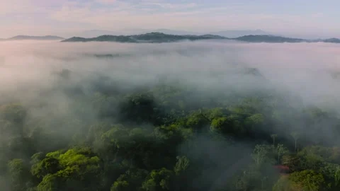 Aerial Drone View of Misty Rainforest in Costa Rica, Above the Clouds and Trees Stock Footage 202256818