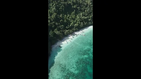 Aerial Drone View of Monkey Beach in Phi Phi Islands, Thailand Stock Footage 314309544