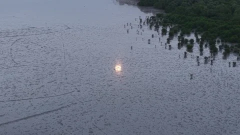 Aerial drone view of moon reflection on mudflat Stock Footage 332588309
