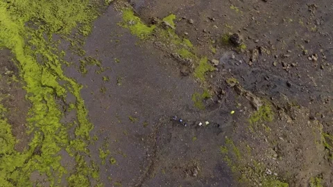 Aerial drone view of moss-covered lava field with geothermal streams, Iceland Hi Stock Footage 341604725
