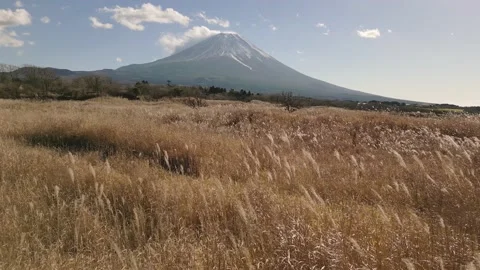 Aerial drone view of Mount Fuji in Winter from Asagiri Plateau, Yamanashi Stock Footage 230769999