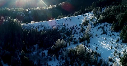 Aerial drone view in mountain forest. Winter landscape in 4к Stock Footage 128694604