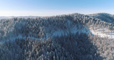Aerial drone view in mountain forest. Winter landscape in 4к Stock Footage 128694956