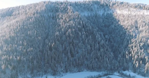 Aerial drone view in mountain forest. Winter landscape in 4к Stock Footage 128695008
