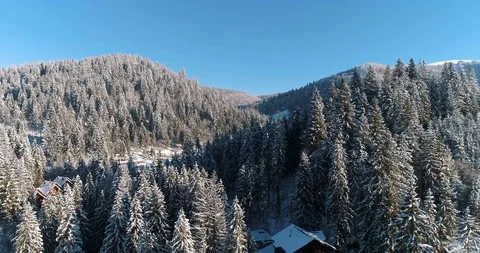 Aerial drone view in mountain forest. Winter landscape in 4к Stock Footage 128695040