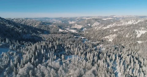 Aerial drone view in mountain forest. Winter landscape in 4к Stock Footage 128695186