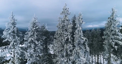 Aerial drone view in mountain forest. Winter landscape in 4к Stock Footage 128698980