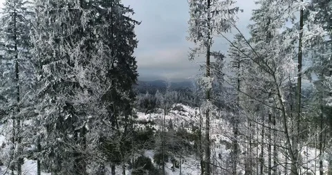 Aerial drone view in mountain forest. Winter landscape in 4к Stock Footage 128699015