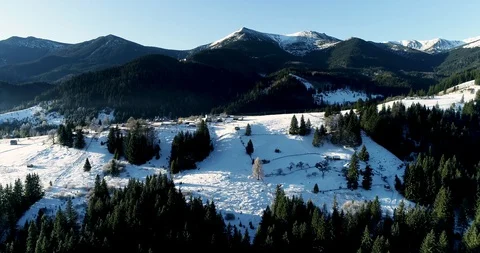 Aerial drone view in mountain forest. Winter landscape in 4к Stock Footage 128699047