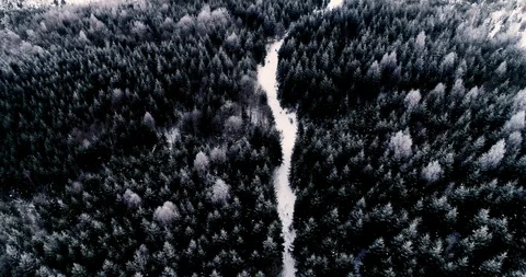 Aerial drone view in mountain forest. Winter landscape in 4к Stock Footage 128699284