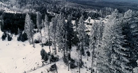 Aerial drone view in mountain forest. Winter landscape in 4к Stock Footage 128699307