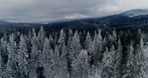 Aerial drone view in mountain forest. Winter landscape in 4к Stock Footage 128699359