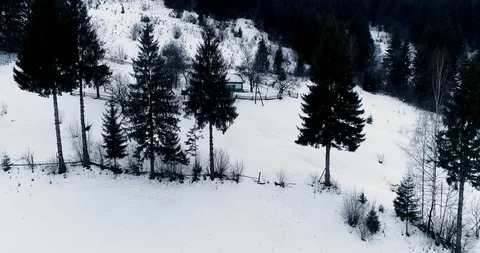 Aerial drone view in mountain forest. Winter landscape in 4к Stock Footage 128699470