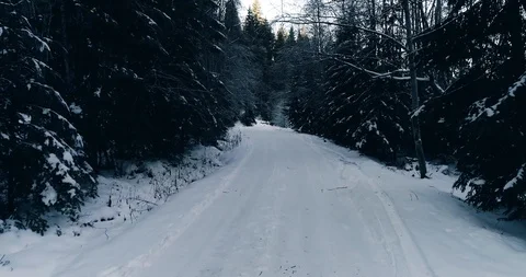 Aerial drone view in mountain forest. Winter landscape in 4к Stock Footage 128699498