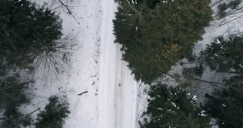 Aerial drone view in mountain forest. Winter landscape in 4к Stock Footage 128699624