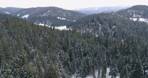 Aerial drone view in mountain forest. Winter landscape in 4к Stock Footage 128699670