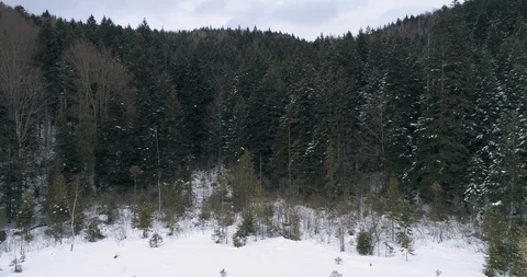 Aerial drone view in mountain forest. Winter landscape in 4к Stock Footage 128699673